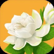 小鱼儿一肖中