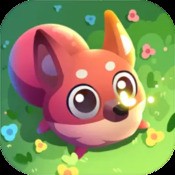 d55cc天空同行